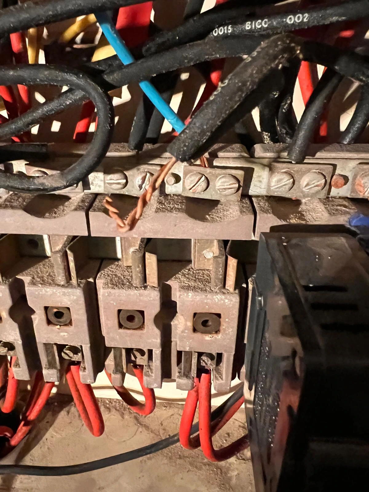 Electrical services in Forest Gate for homes and businesses